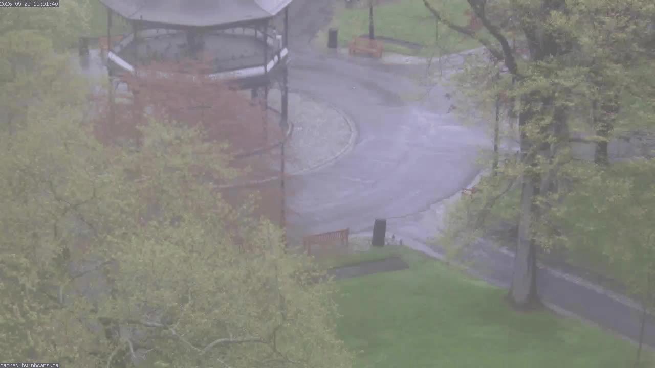 Web Cam image of Saint John (King's Square)