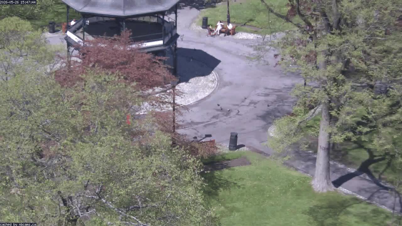 Web Cam image of Saint John (King's Square)