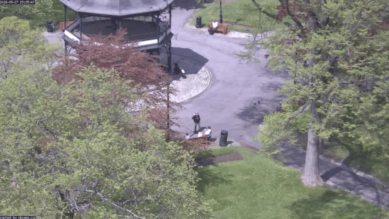 Web Cam image of Saint John (King's Square)