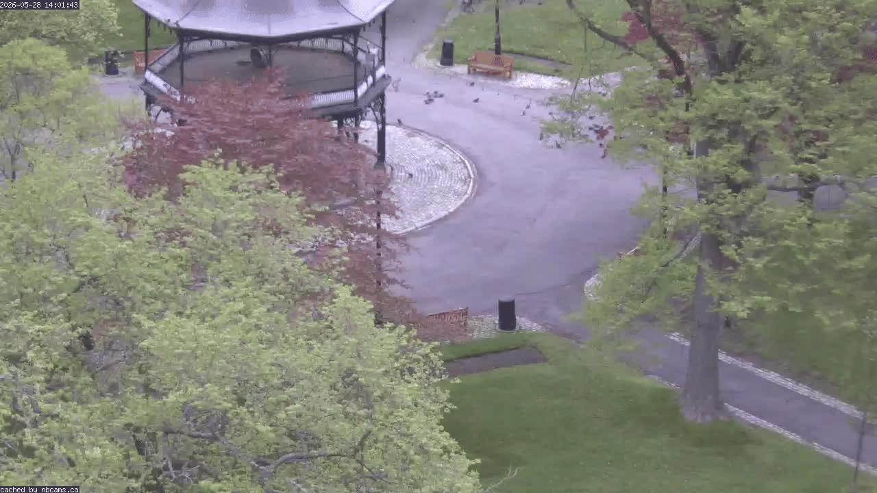 Web Cam image of Saint John (King's Square)