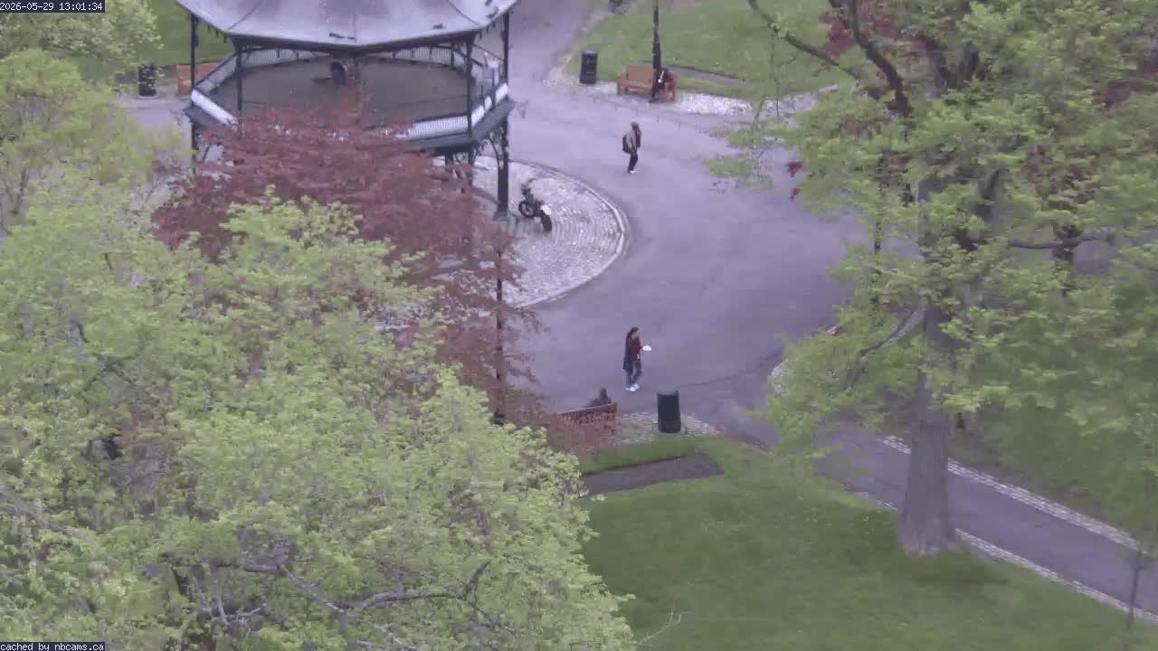 Web Cam image of Saint John (King's Square)