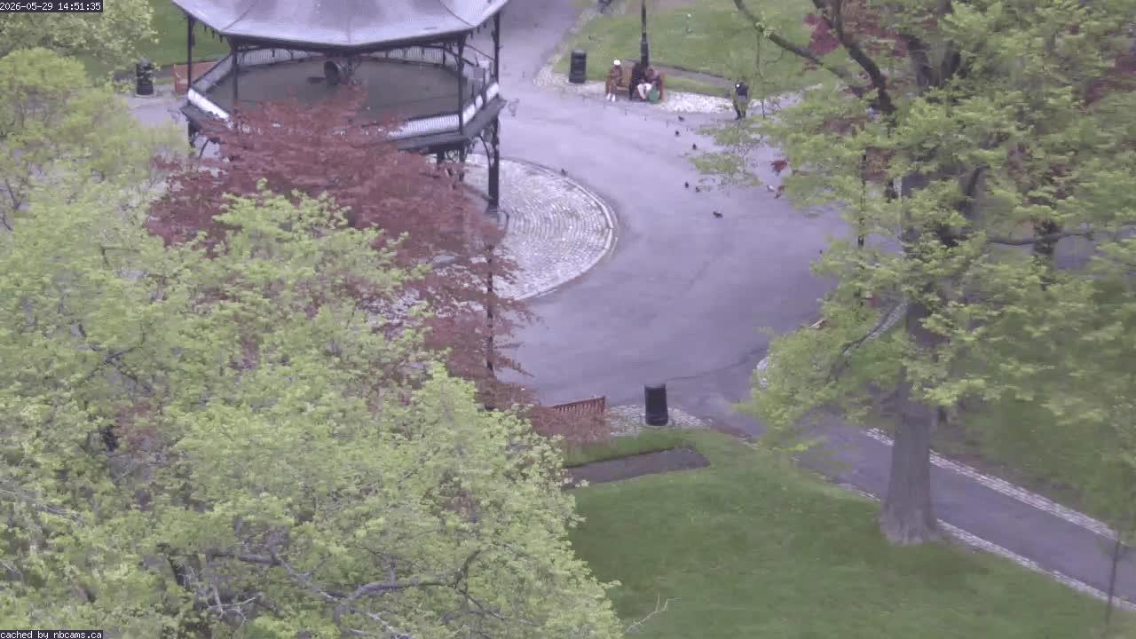 Web Cam image of Saint John (King's Square)