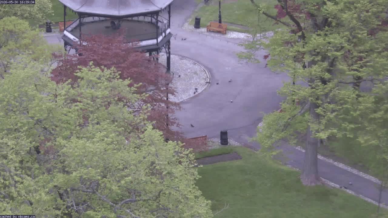 Web Cam image of Saint John (King's Square)