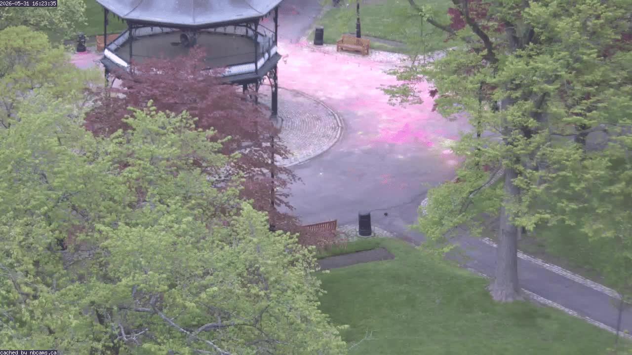 Web Cam image of Saint John (King's Square)