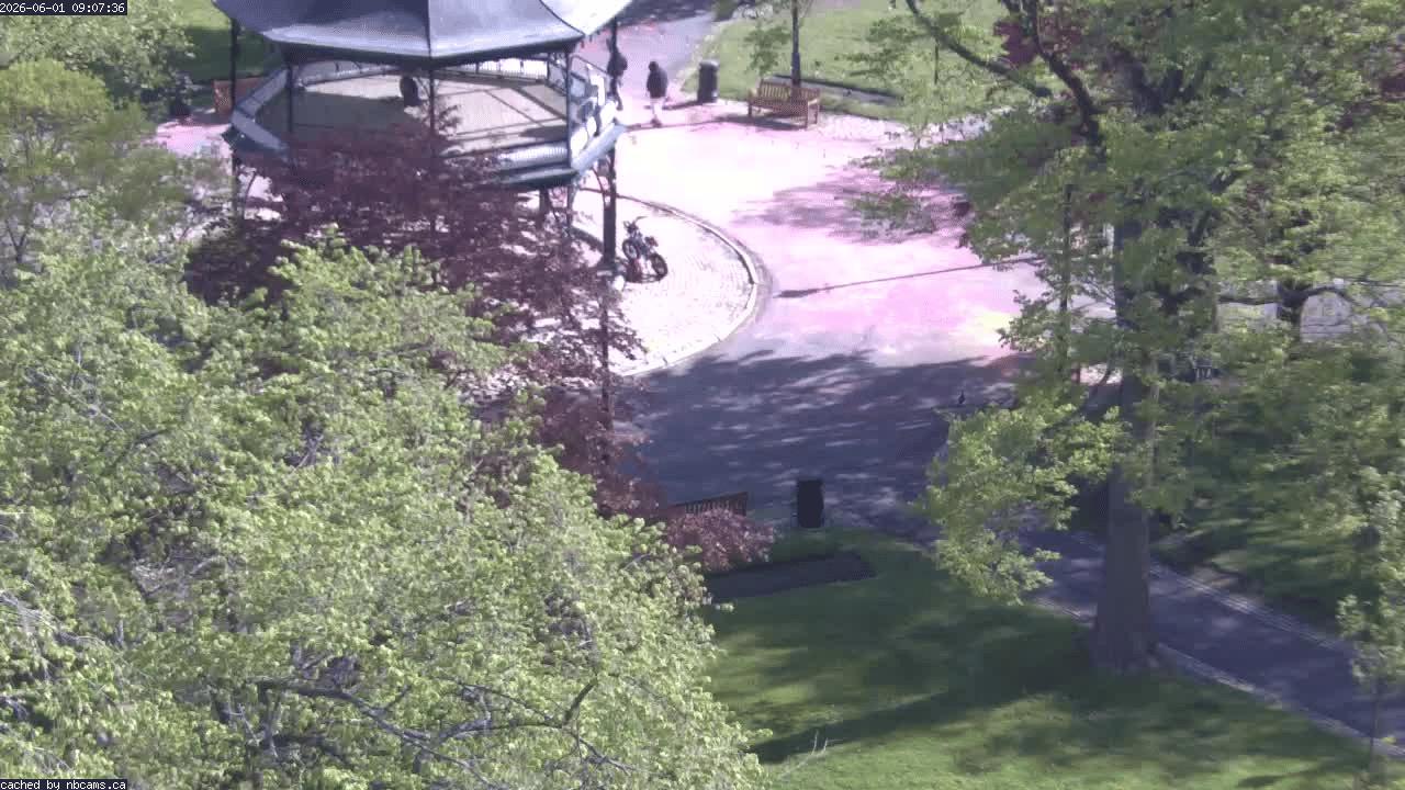 Web Cam image of Saint John (King's Square)