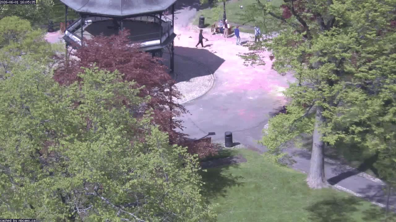 Web Cam image of Saint John (King's Square)