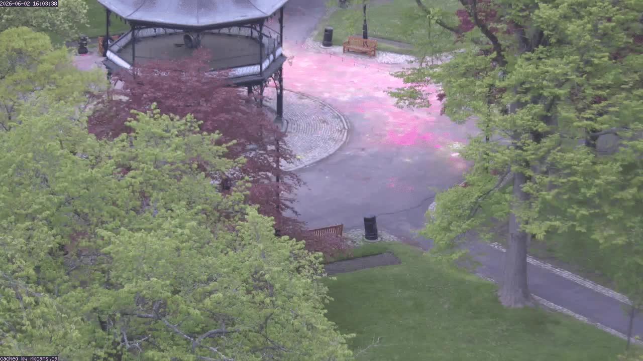 Web Cam image of Saint John (King's Square)