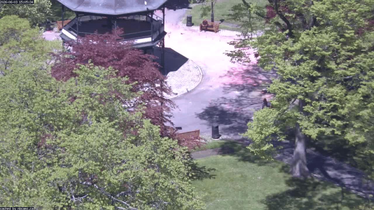 Web Cam image of Saint John (King's Square)