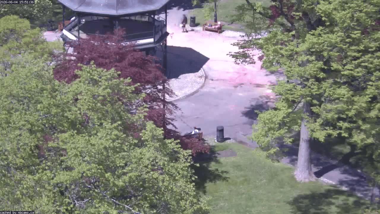 Web Cam image of Saint John (King's Square)