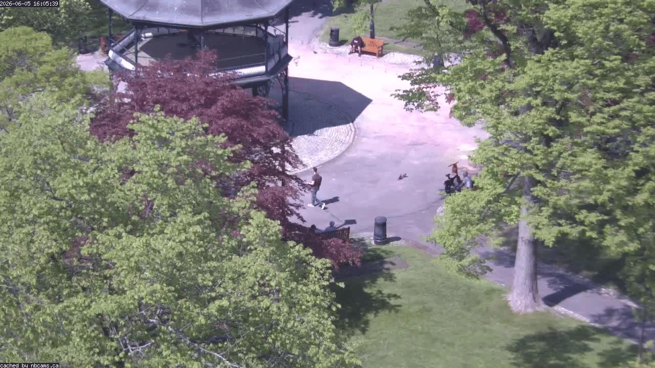 Web Cam image of Saint John (King's Square)