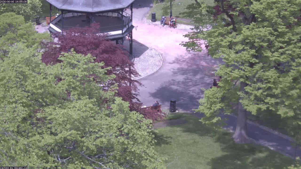 Web Cam image of Saint John (King's Square)