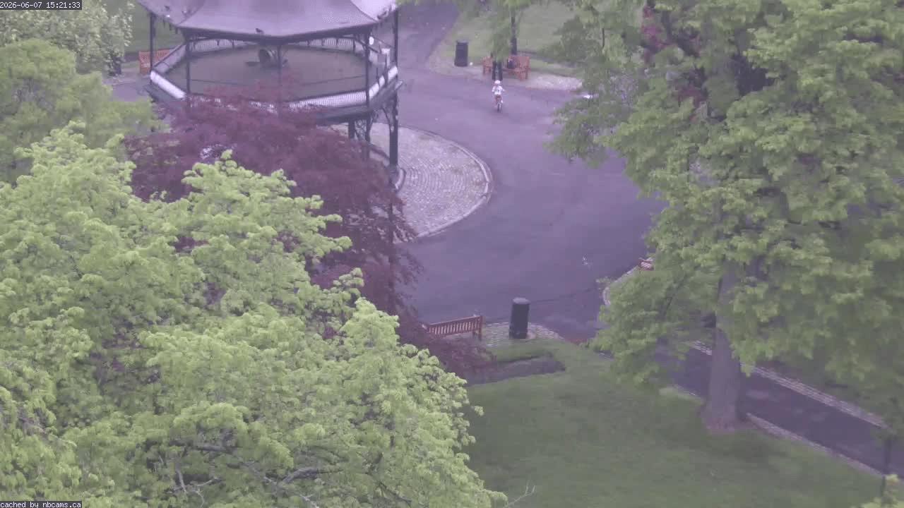 Web Cam image of Saint John (King's Square)