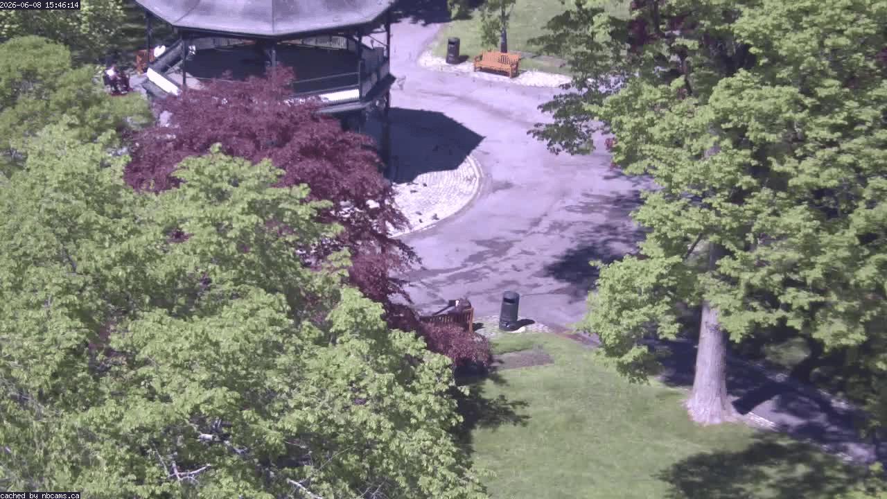 Web Cam image of Saint John (King's Square)