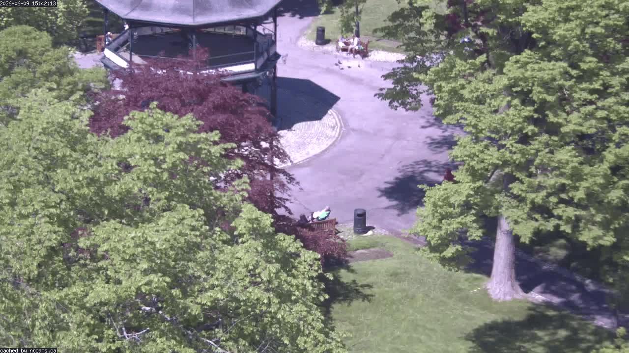 Web Cam image of Saint John (King's Square)
