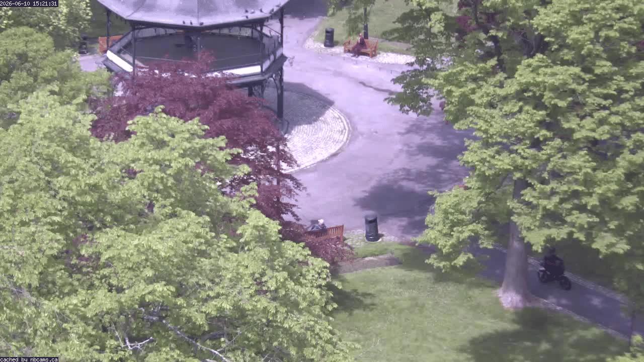 Web Cam image of Saint John (King's Square)
