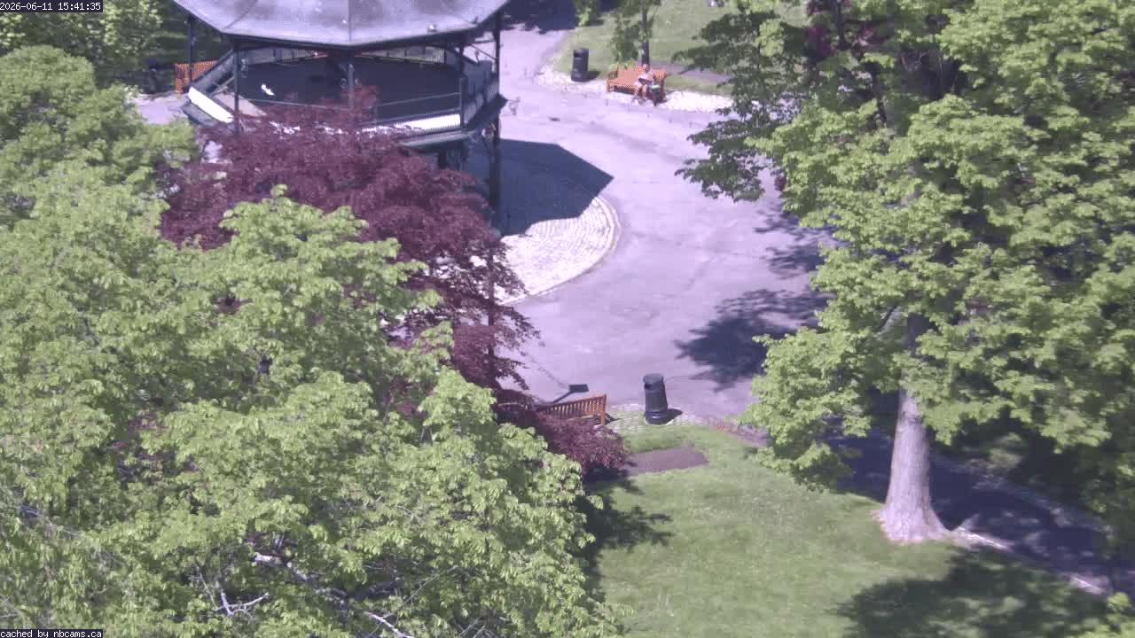 Web Cam image of Saint John (King's Square)