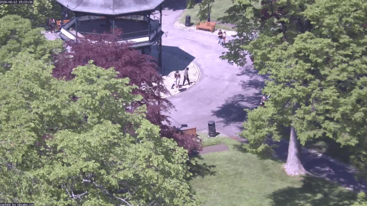 Web Cam image of Saint John (King's Square)