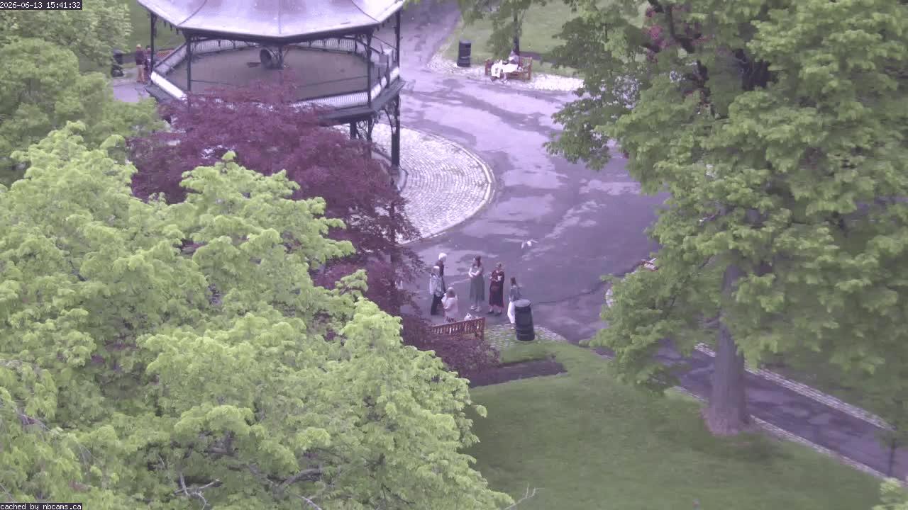 Web Cam image of Saint John (King's Square)
