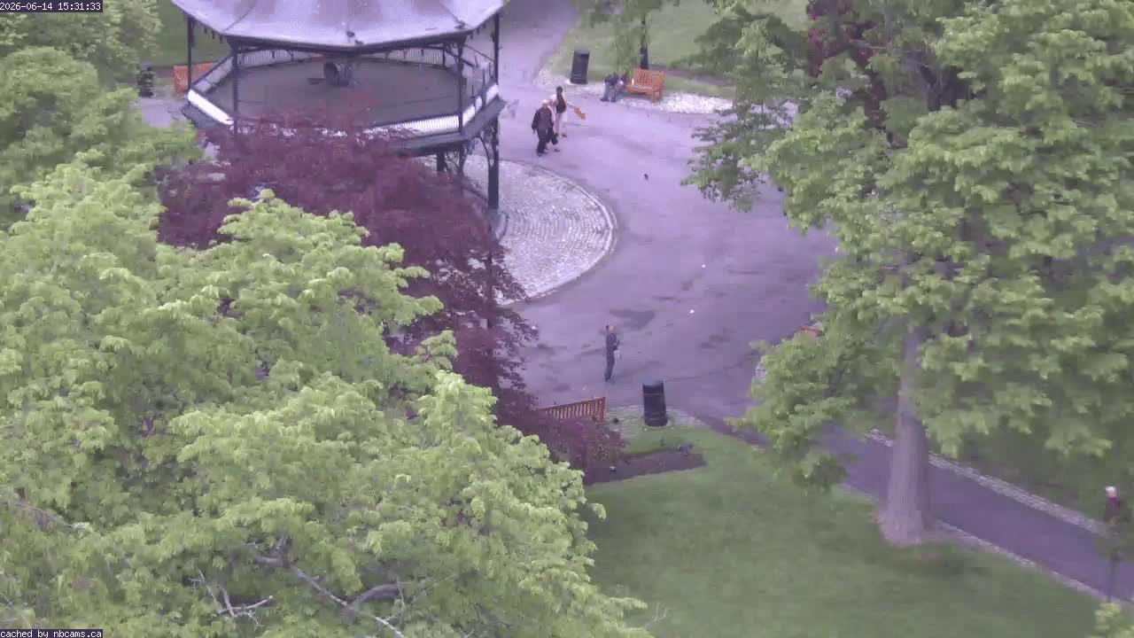 Web Cam image of Saint John (King's Square)