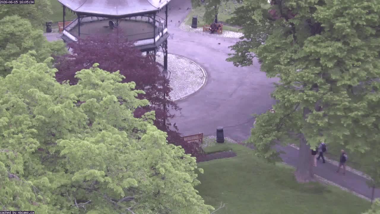 Web Cam image of Saint John (King's Square)