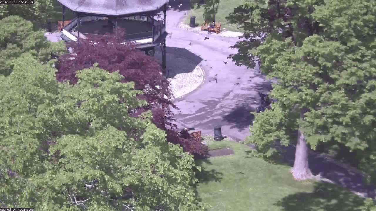 Web Cam image of Saint John (King's Square)