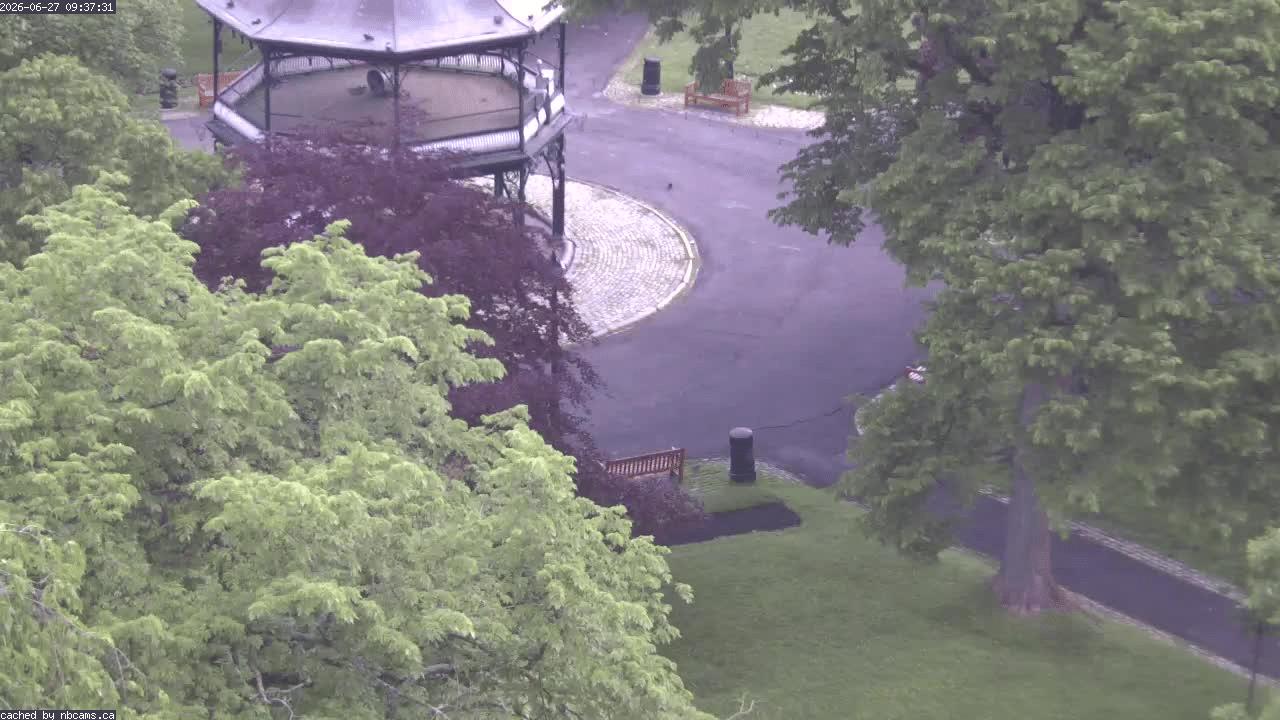 Web Cam image of Saint John (King's Square)