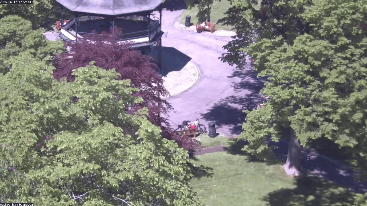 Web Cam image of Saint John (King's Square)