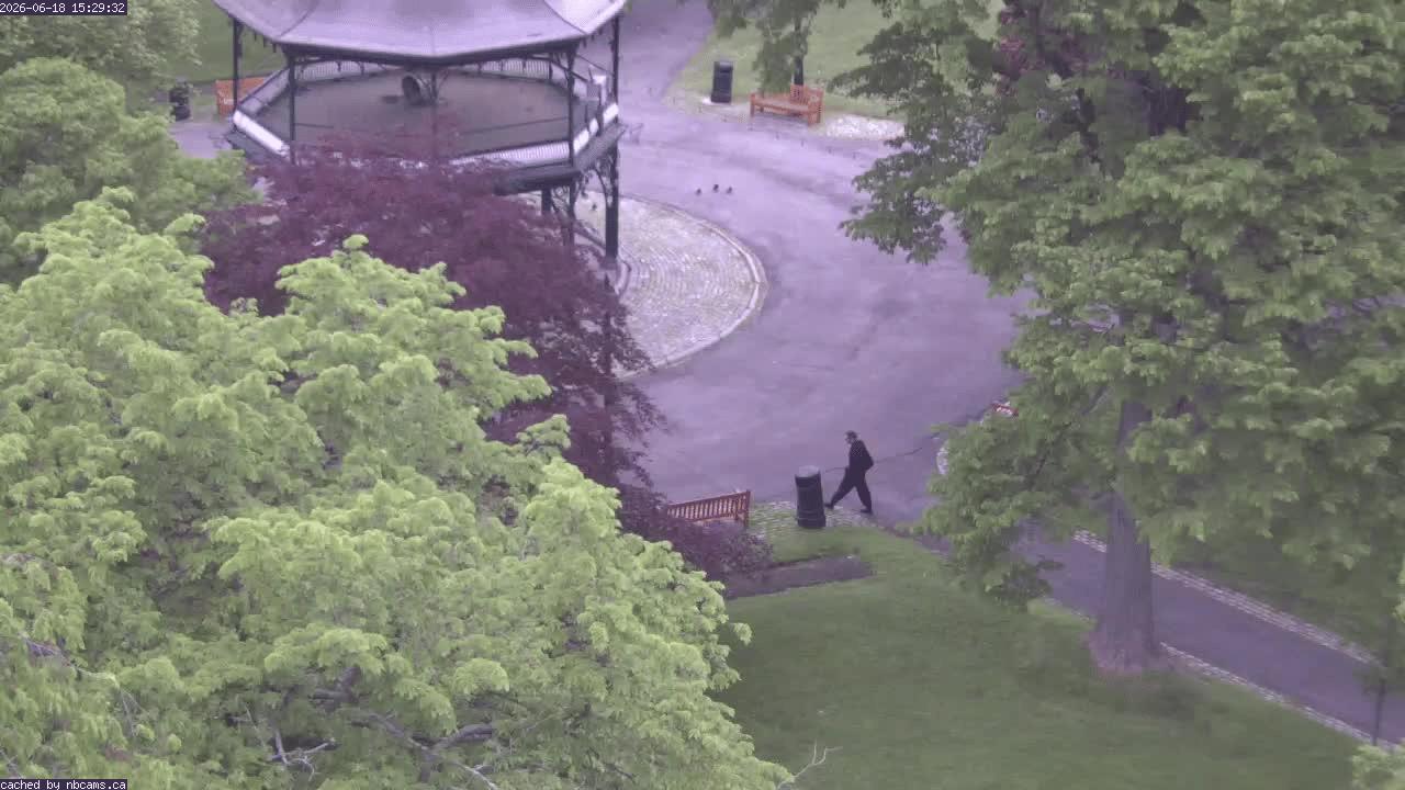 Web Cam image of Saint John (King's Square)