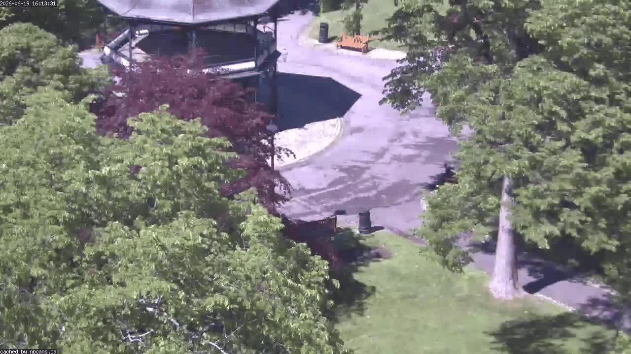 Web Cam image of Saint John (King's Square)