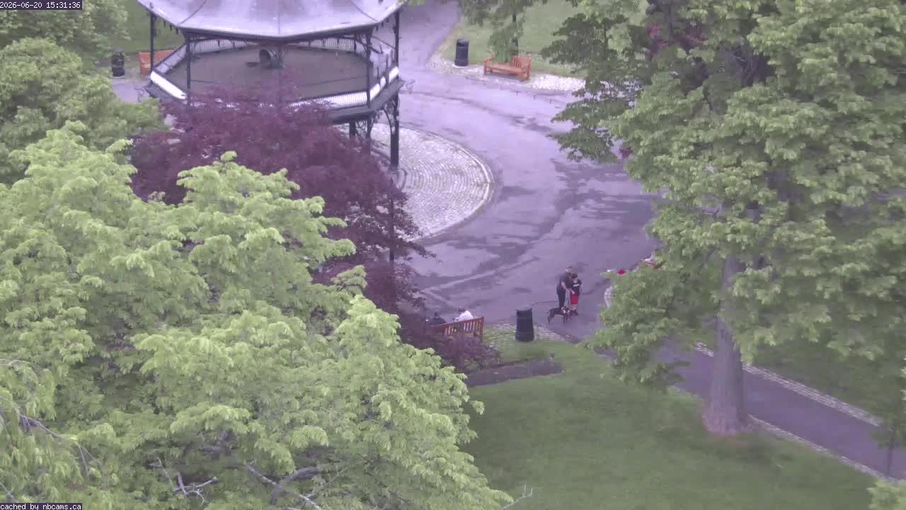 Web Cam image of Saint John (King's Square)