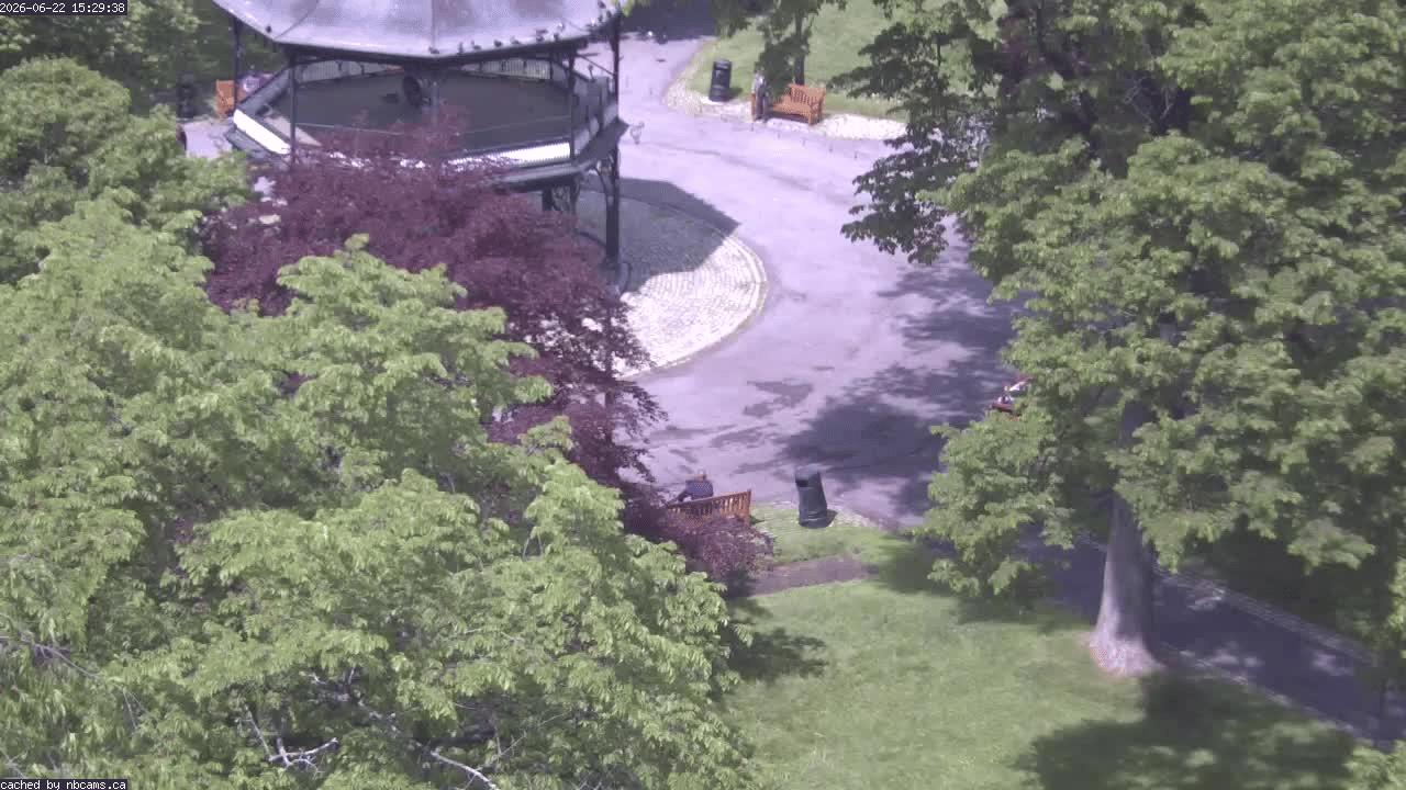 Web Cam image of Saint John (King's Square)