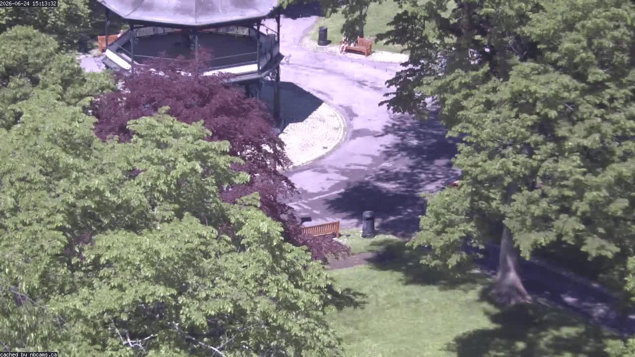 Web Cam image of Saint John (King's Square)