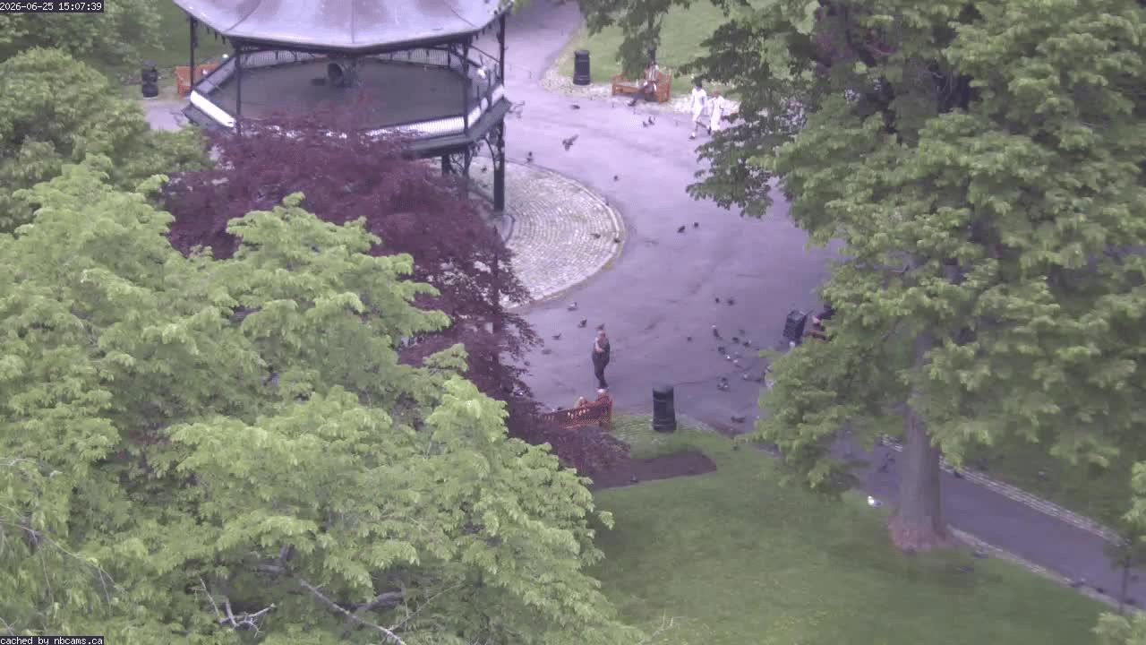 Web Cam image of Saint John (King's Square)