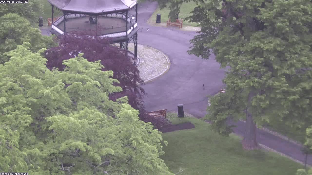 Web Cam image of Saint John (King's Square)