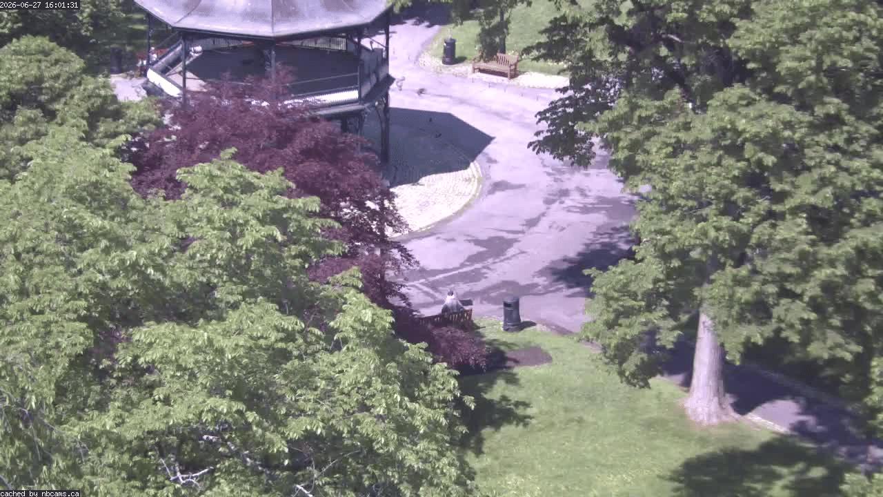 Web Cam image of Saint John (King's Square)