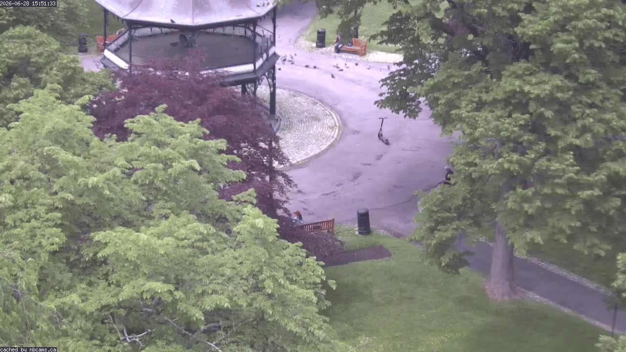Web Cam image of Saint John (King's Square)