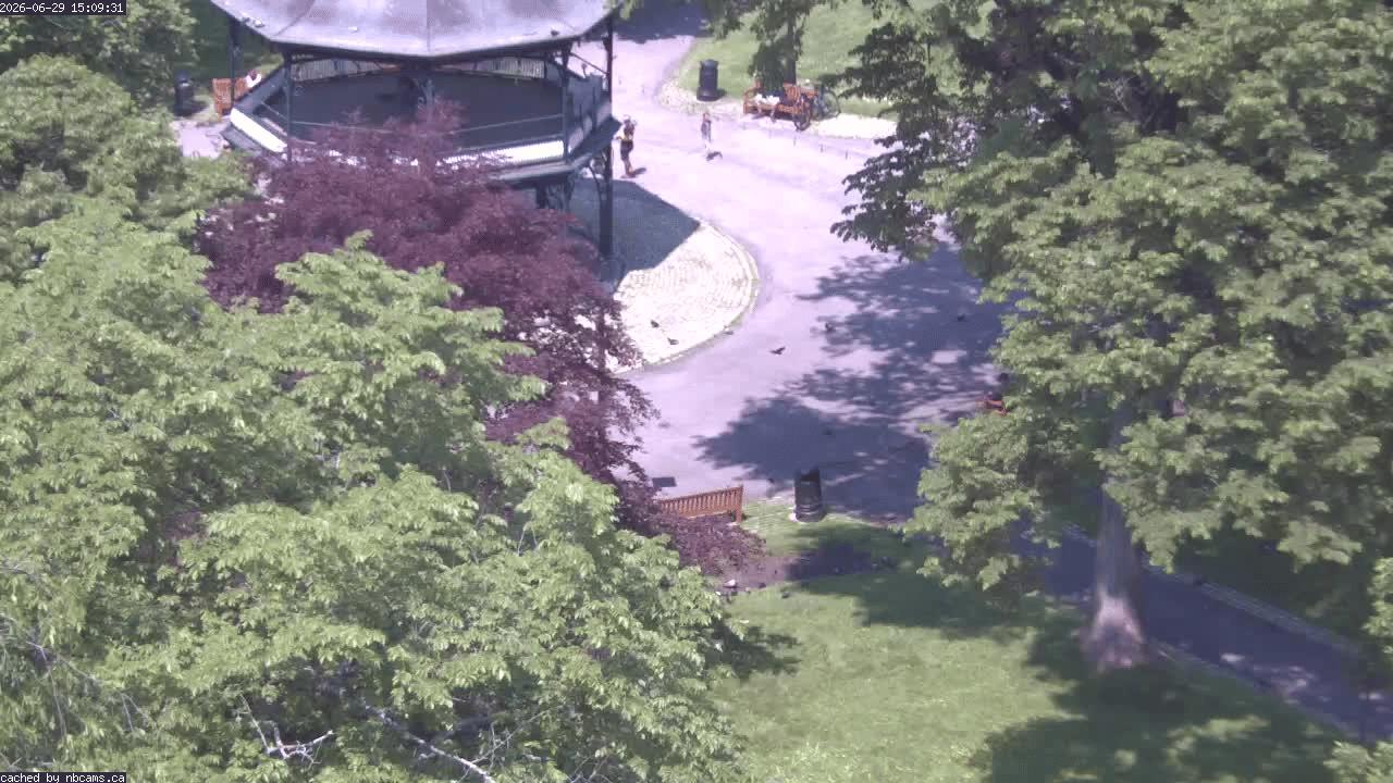 Web Cam image of Saint John (King's Square)