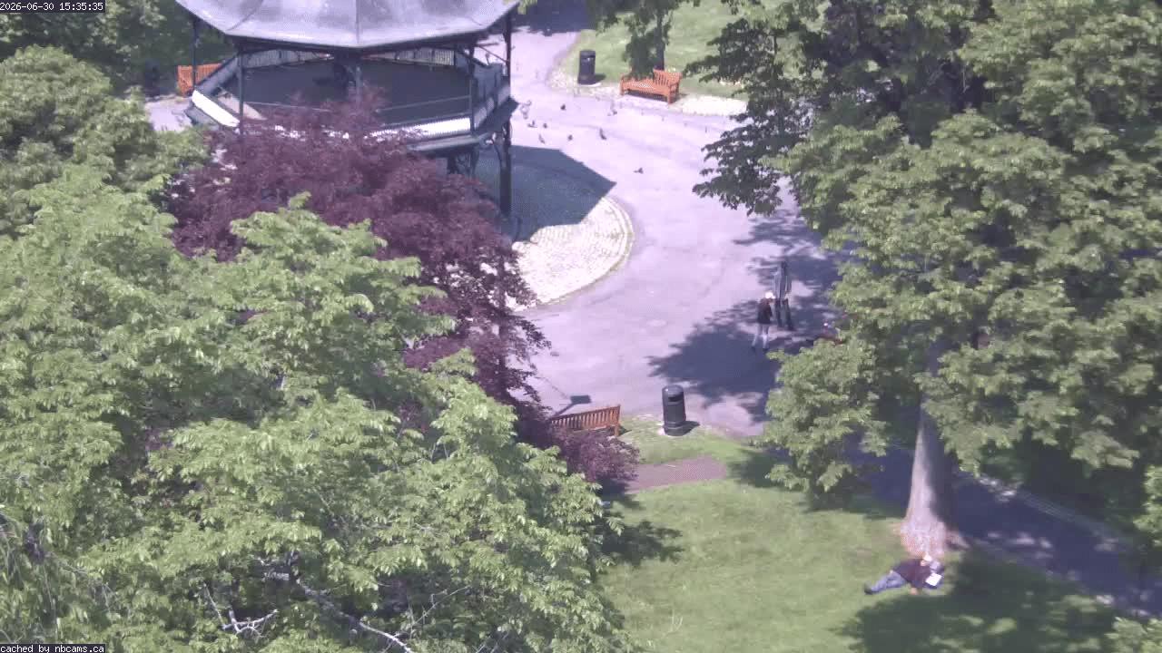 Web Cam image of Saint John (King's Square)