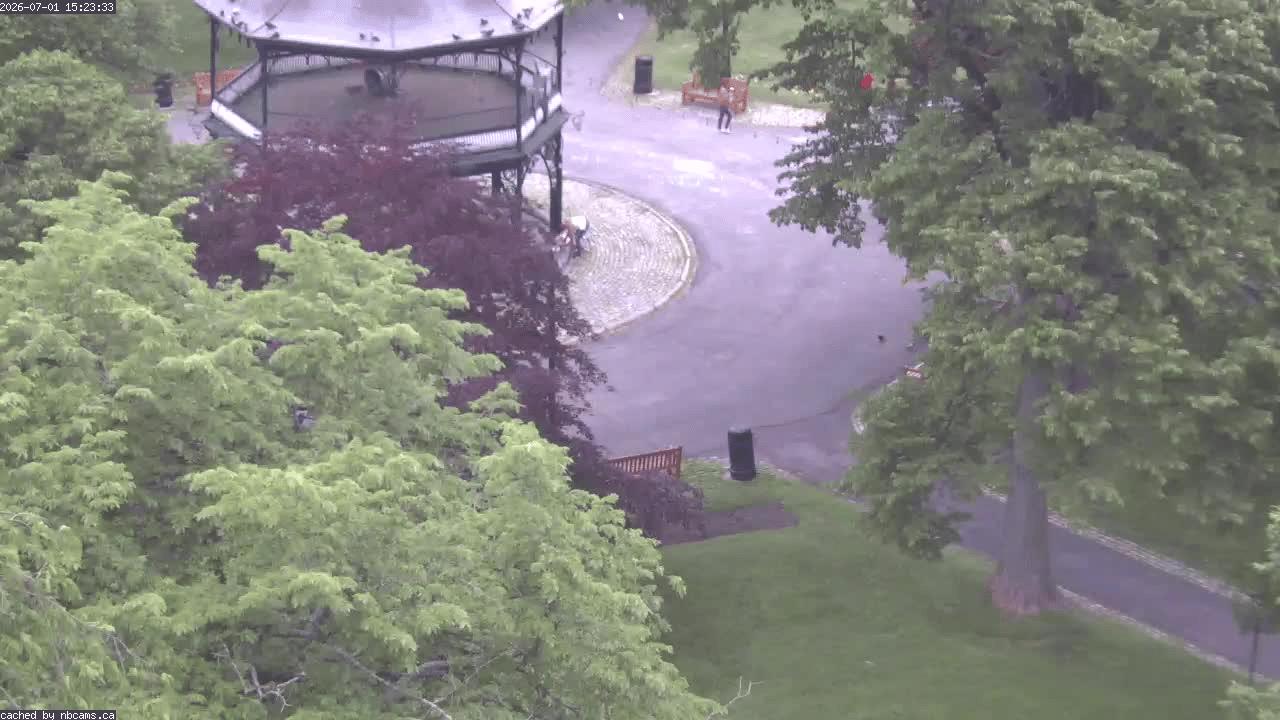 Web Cam image of Saint John (King's Square)