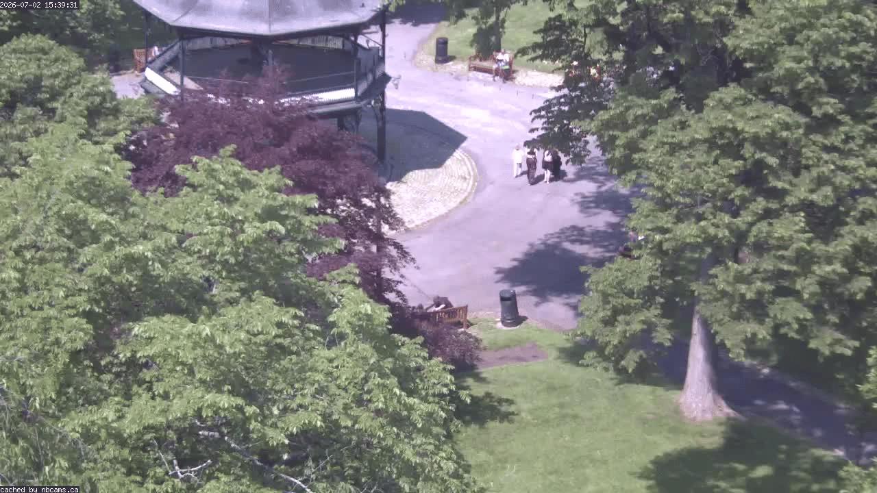 Web Cam image of Saint John (King's Square)