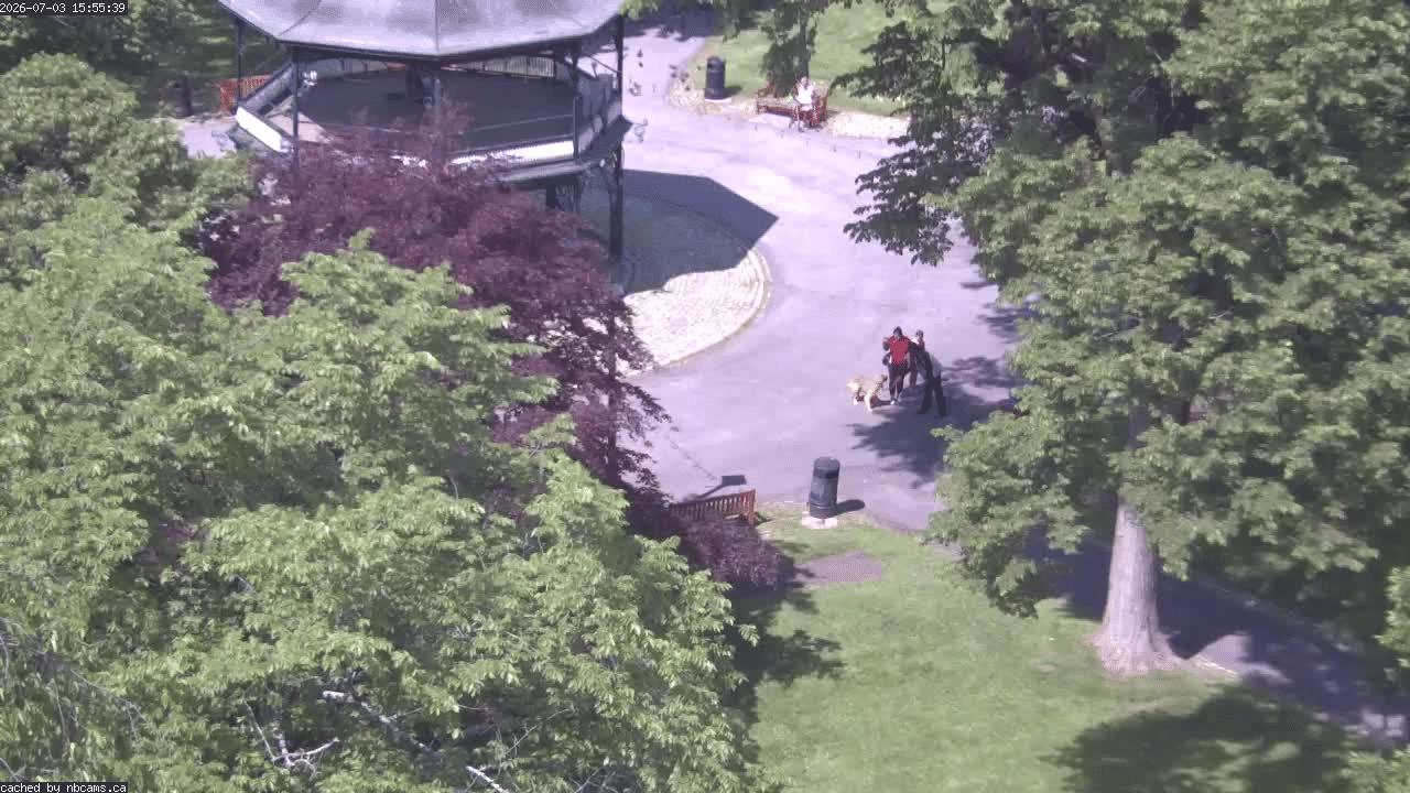 Web Cam image of Saint John (King's Square)