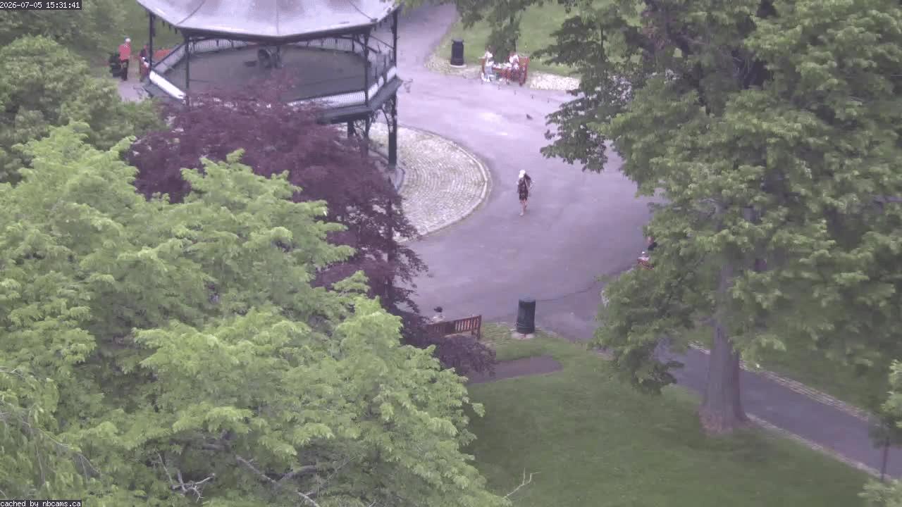 Web Cam image of Saint John (King's Square)