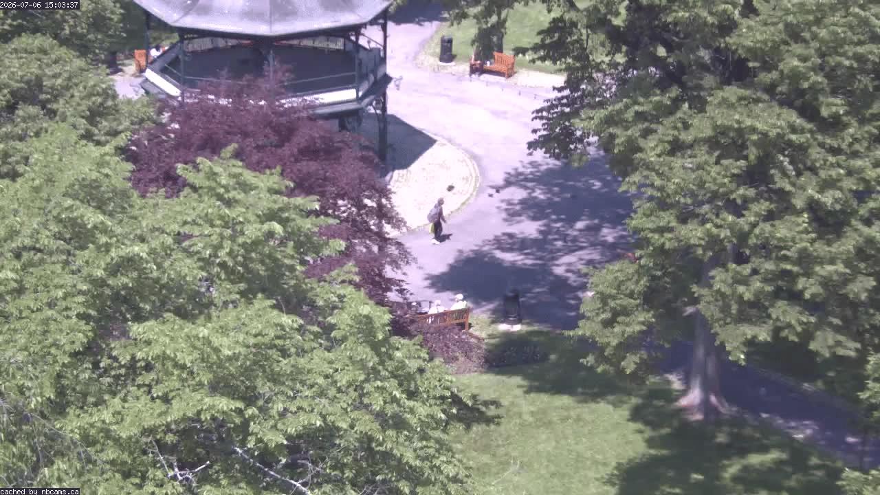 Web Cam image of Saint John (King's Square)