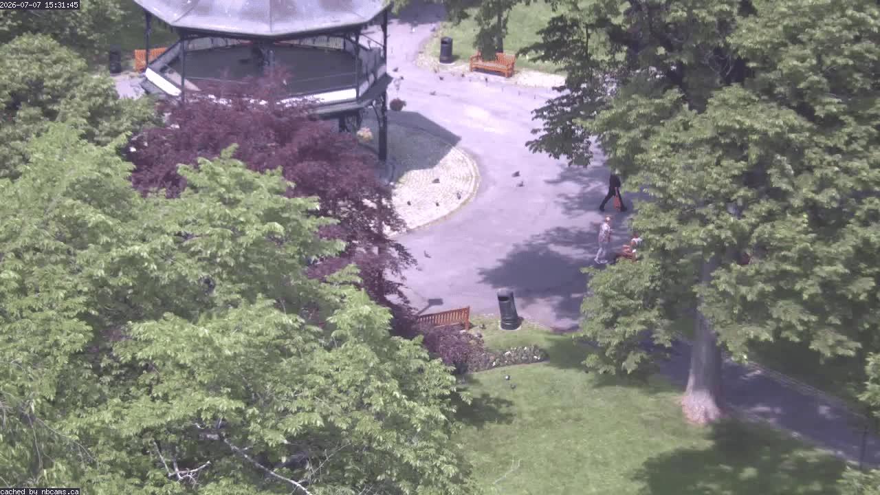 Web Cam image of Saint John (King's Square)