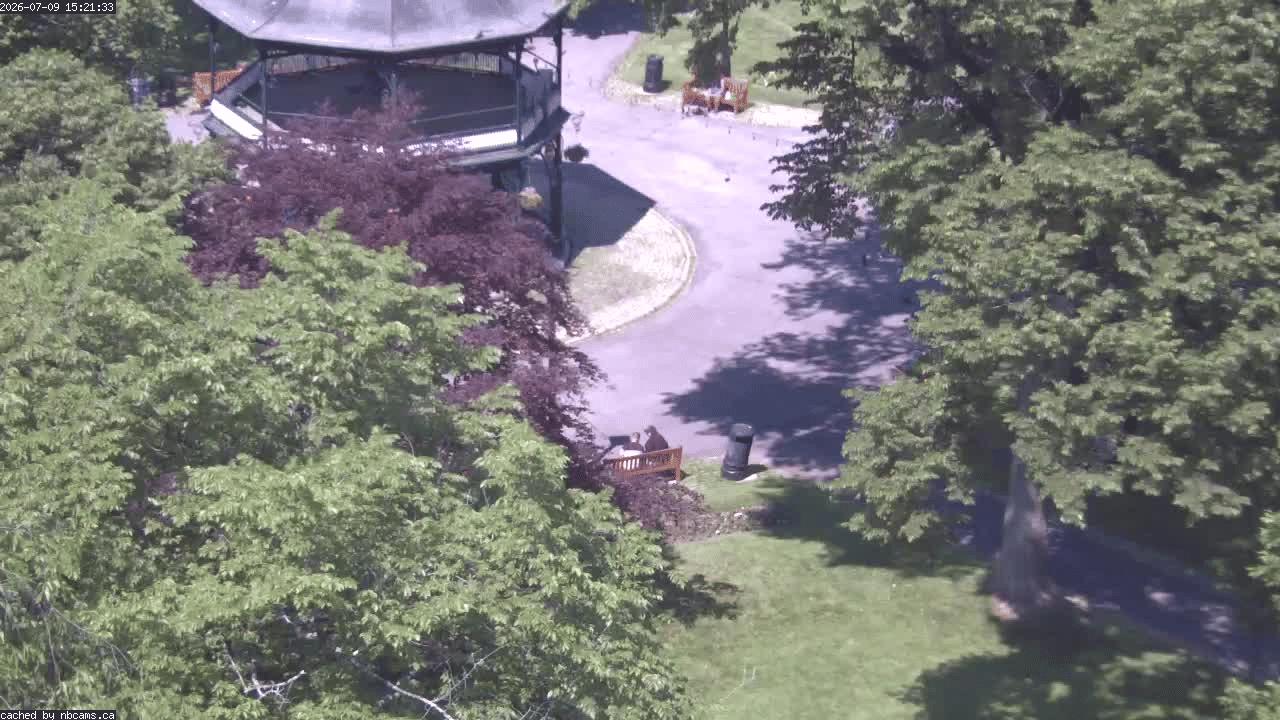 Web Cam image of Saint John (King's Square)