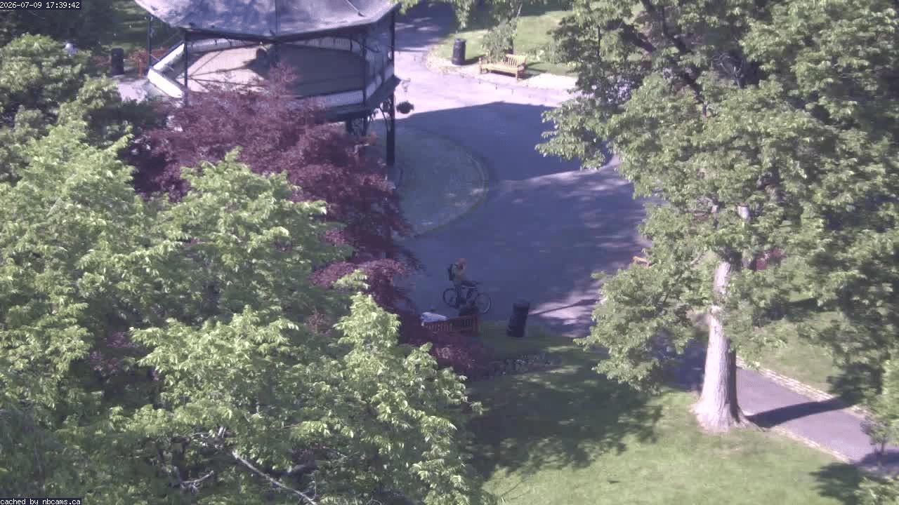 Web Cam image of Saint John (King's Square)