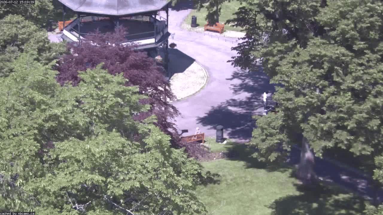 Web Cam image of Saint John (King's Square)