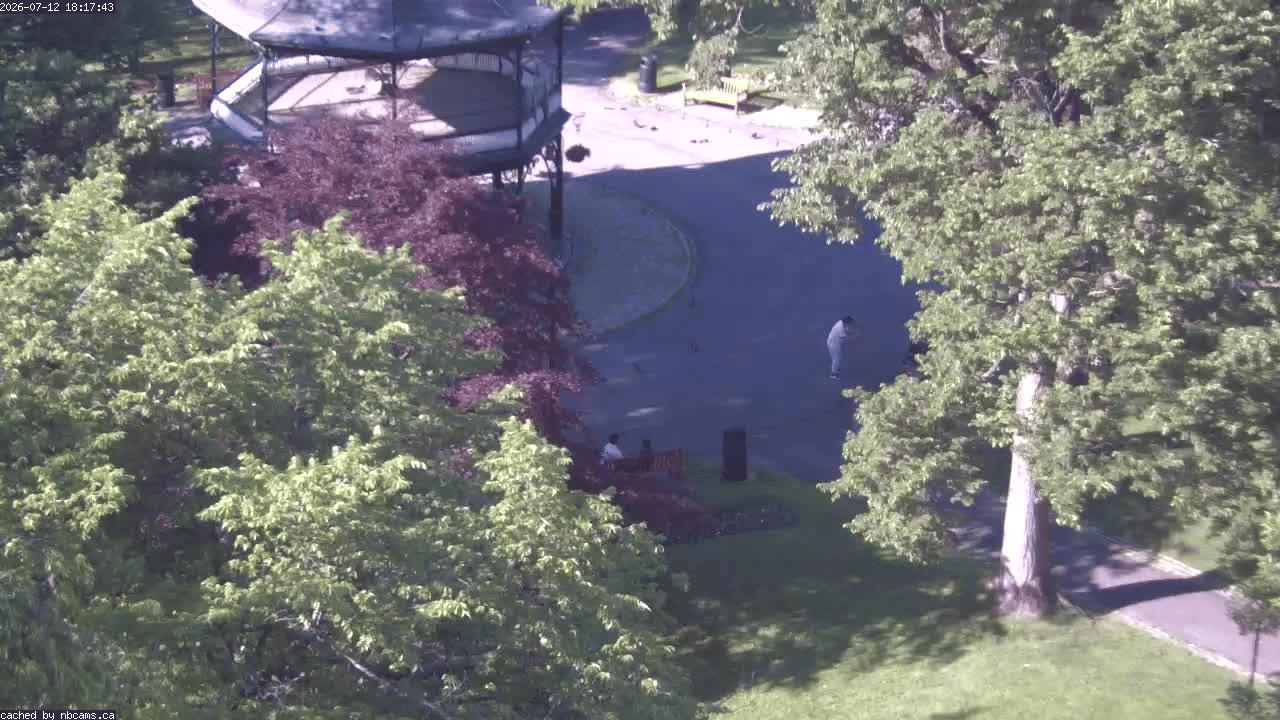 Web Cam image of Saint John (King's Square)