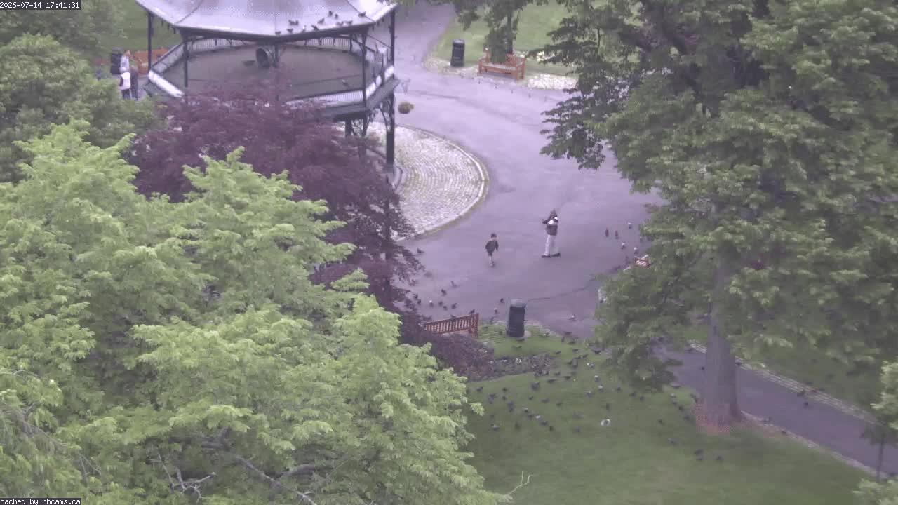 Web Cam image of Saint John (King's Square)