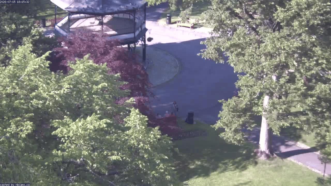 Web Cam image of Saint John (King's Square)